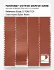 Product image 3 of the product “PANTONE® COTTON SWATCH CARD 17-1345 TCX Spice Route ”
