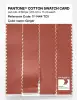 Product image 3 of the product “PANTONE® COTTON SWATCH CARD 17-1444 TCX Ginger ”