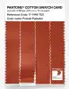 Product image 3 of the product “PANTONE® COTTON SWATCH CARD 17-1449 TCX Pureed Pumpkin ”