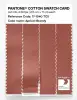 Product image 3 of the product “PANTONE® COTTON SWATCH CARD 17-1540 TCX Apricot Brandy ”
