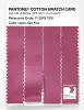 Product image 3 of the product “PANTONE® COTTON SWATCH CARD 17-2519 TCX Gin Fizz ”
