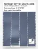 Artikelbild 3 des Artikels “PANTONE® COTTON SWATCH CARD 17-3918 TCX Country Blue “