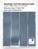 Product image 3 of the product “PANTONE® COTTON SWATCH CARD 17-4021 TCX Faded Denim ”