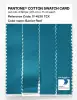Artikelbild 3 des Artikels “PANTONE® COTTON SWATCH CARD 17-4530 TCX Barrier Reef “