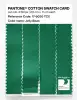 Product image 3 of the product “PANTONE® COTTON SWATCH CARD 17-6030 TCX Jelly Bean ”