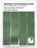 Product image 3 of the product “PANTONE® COTTON SWATCH CARD 17-6319 TCX Kashmir ”