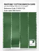 Product image 3 of the product “PANTONE® COTTON SWATCH CARD 17-6333 TCX Mint Green ”