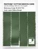 Artikelbild 3 des Artikels “PANTONE® COTTON SWATCH CARD 18-0119 TCX Willow Bough “