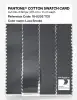 Artikelbild 3 des Artikels “PANTONE® COTTON SWATCH CARD 18-0202 TCX Lava Smoke “