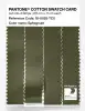 Artikelbild 3 des Artikels “PANTONE® COTTON SWATCH CARD 18-0529 TCX Sphagnum “