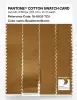 Artikelbild 3 des Artikels “PANTONE® COTTON SWATCH CARD 18-0935 TCX Buckthorn Brown “