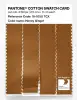 Product image 3 of the product “PANTONE® COTTON SWATCH CARD 18-1050 TCX Honey Ginger ”