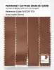 Artikelbild 3 des Artikels “PANTONE® COTTON SWATCH CARD 18-1239 TCX Sierra “