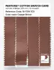 Product image 3 of the product “PANTONE® COTTON SWATCH CARD 18-1336 TCX Copper Brown ”