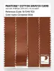 Product image 3 of the product “PANTONE® COTTON SWATCH CARD 18-1345 TCX Cinnamon Stick ”