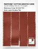 Product image 3 of the product “PANTONE® COTTON SWATCH CARD 18-1355 TCX Rooibos Tea ”