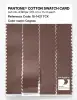 Product image 3 of the product “PANTONE® COTTON SWATCH CARD 18-1421 TCX Cognac ”