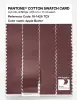 Artikelbild 3 des Artikels “PANTONE® COTTON SWATCH CARD 18-1426 TCX Apple Butter “