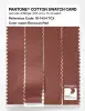 Artikelbild 3 des Artikels “PANTONE® COTTON SWATCH CARD 18-1434 TCX Etruscan Red “