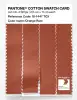Product image 3 of the product “PANTONE® COTTON SWATCH CARD 18-1447 TCX Orange Rust ”