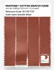 Product image 3 of the product “PANTONE® COTTON SWATCH CARD 18-1451 TCX Autumn Glaze ”