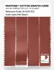 Product image 3 of the product “PANTONE® COTTON SWATCH CARD 18-1536 TCX Hot Sauce ”