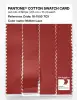 Artikelbild 3 des Artikels “PANTONE® COTTON SWATCH CARD 18-1555 TCX Molten Lava “