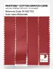 Product image 3 of the product “PANTONE® COTTON SWATCH CARD 18-1563 TCX Rubicondo ”