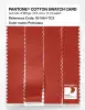Product image 3 of the product “PANTONE® COTTON SWATCH CARD 18-1564 TCX Poinciana ”