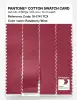 Product image 3 of the product “PANTONE® COTTON SWATCH CARD 18-1741 TCX Raspberry Wine ”