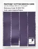 Product image 3 of the product “PANTONE® COTTON SWATCH CARD 18-3615 TCX Imperial Palace ”