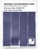 Artikelbild 3 des Artikels “PANTONE® COTTON SWATCH CARD 18-3828 TCX Corsican Blue “