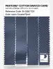 Product image 3 of the product “PANTONE® COTTON SWATCH CARD 18-3920 TCX Coastal Fjord ”