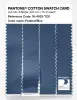 Product image 3 of the product “PANTONE® COTTON SWATCH CARD 18-4029 TCX Federal Blue ”