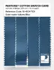 Artikelbild 3 des Artikels “PANTONE® COTTON SWATCH CARD 18-4034 TCX Vallarta Blue “