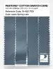 Product image 3 of the product “PANTONE® COTTON SWATCH CARD 18-4221 TCX Spring Lake ”