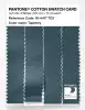 Product image 3 of the product “PANTONE® COTTON SWATCH CARD 18-4417 TCX Tapestry ”