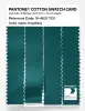 Product image 3 of the product “PANTONE® COTTON SWATCH CARD 18-4833 TCX Kayaking ”