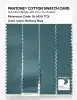 Product image 3 of the product “PANTONE® COTTON SWATCH CARD 18-5610 TCX Brittany Blue ”