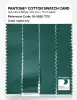 Product image 3 of the product “PANTONE® COTTON SWATCH CARD 18-5620 TCX Ivy ”