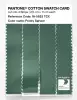 Product image 3 of the product “PANTONE® COTTON SWATCH CARD 18-5622 TCX Frosty Spruce ”