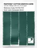 Product image 3 of the product “PANTONE® COTTON SWATCH CARD 18-5725 TCX Galapagos Green ”