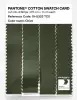 Artikelbild 3 des Artikels “PANTONE® COTTON SWATCH CARD 19-0323 TCX Chive “