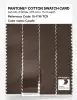 Product image 3 of the product “PANTONE® COTTON SWATCH CARD 19-1116 TCX Carafe ”