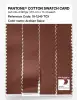 Artikelbild 3 des Artikels “PANTONE® COTTON SWATCH CARD 19-1245 TCX Arabian Spice “