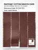 Product image 3 of the product “PANTONE® COTTON SWATCH CARD 19-1334 TCX Henna ”