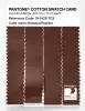 Artikelbild 3 des Artikels “PANTONE® COTTON SWATCH CARD 19-1429 TCX Smoked Paprika “