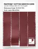Product image 3 of the product “PANTONE® COTTON SWATCH CARD 19-1543 TCX Brick Red ”