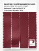 Product image 3 of the product “PANTONE® COTTON SWATCH CARD 19-1653 TCX Rhythmic Red ”