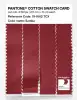 Product image 3 of the product “PANTONE® COTTON SWATCH CARD 19-1662 TCX Samba ”